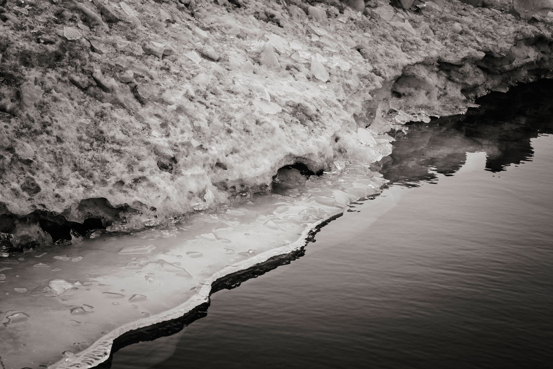 _DSC2779